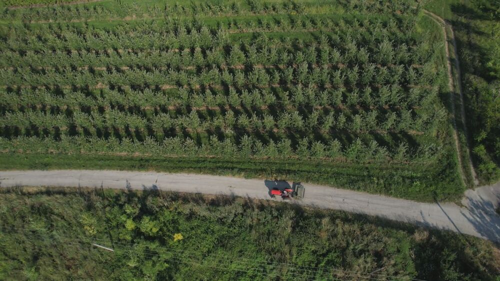 Njiva iz ptičije perspektive