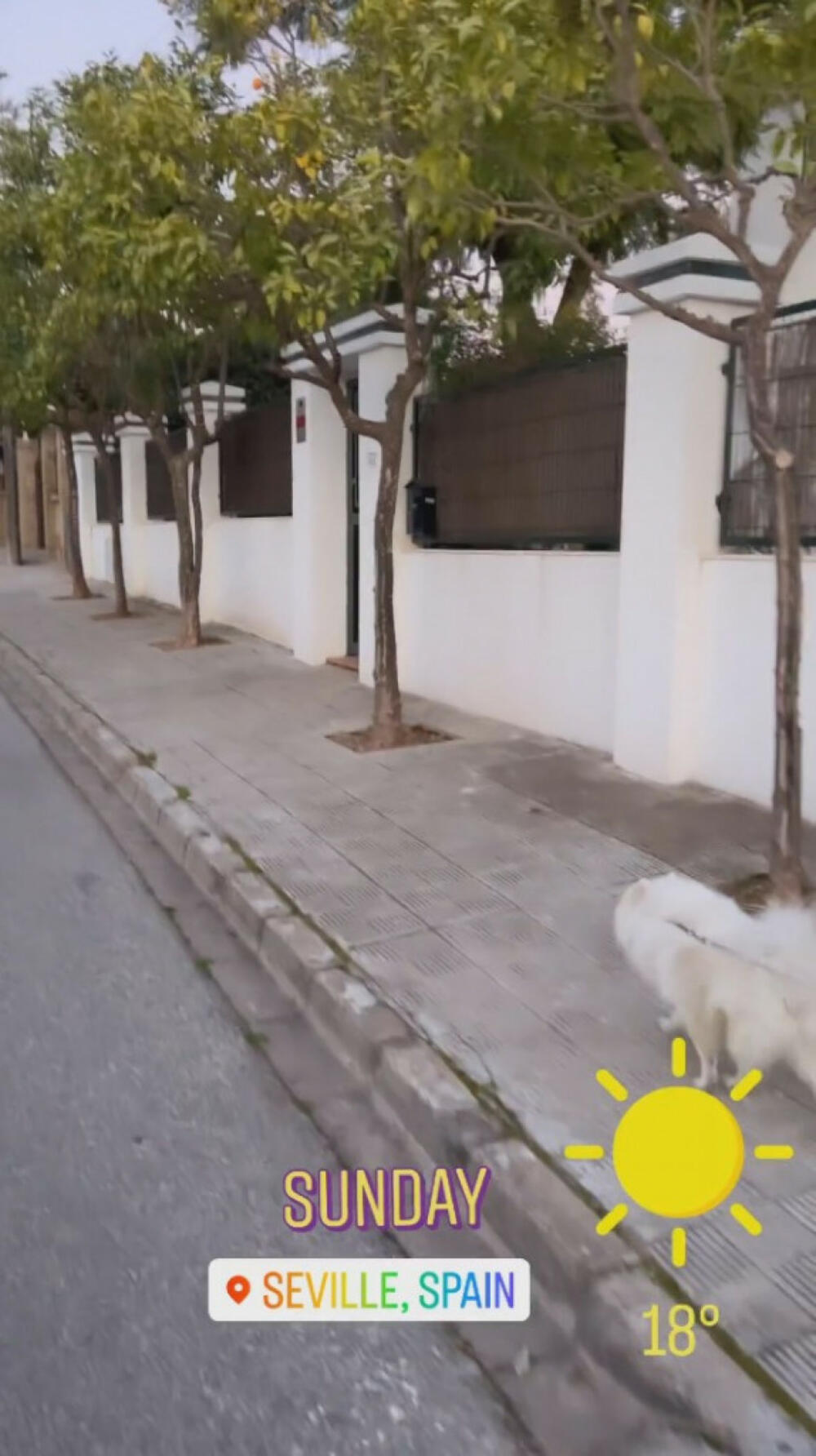 Nemanja Gudelj, Anastasija Ražnatović, Kuća Nemanje Gudelja, Vila Nemanje Gudelja