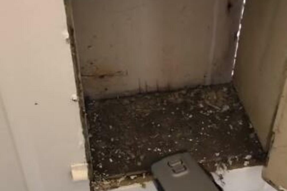 KUPILA JE KUĆU I UGLEDALA TAJNA VRATA: Kad ih je OBILA, usledio ŠOK KAKAV NE PAMTI, evo šta je ZATEKLA (VIDEO)