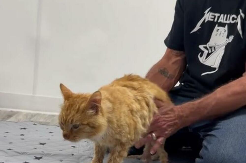 REKLI SU MU DA NEĆE PREŽIVETI I DA JE PREKASNO ZA SVE,A ONDA JE USLEDILO OVO:Neverovatna igra ŽIVOTA I SMRTI(VIDEO)