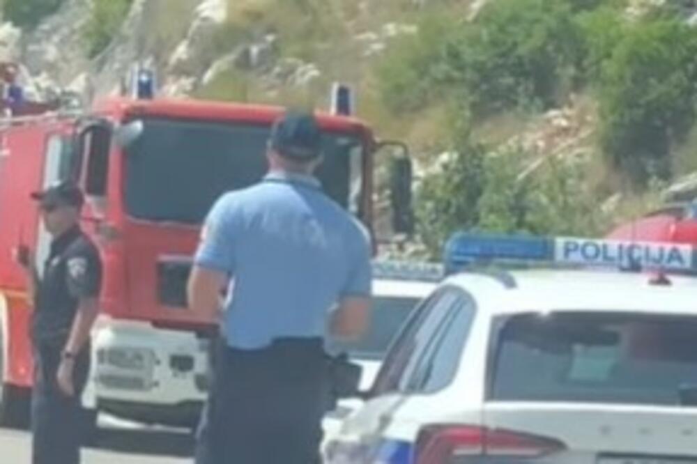 ŽENE SA BALKANA TOTALNO POMAHNITALE KADA SU VIDELE OVOG MACANA: Kad se okrene OTAPADAJU VILICE, a muškarci... VIDEO