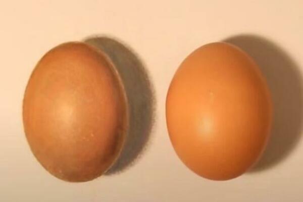 AKO VIDITE OVO NA LJUSCI OD JAJETA, ODMAH GA BACITE JER MOŽETE DOBITI SALMONELU: Stručnjak za bezbednost apelovao