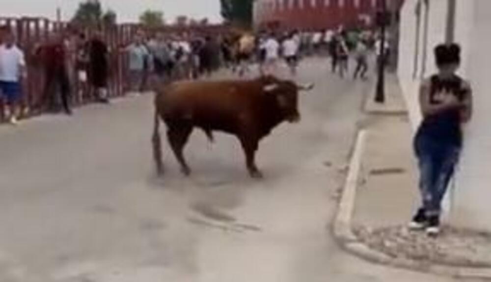 Bik rogom muškarcu unakazio lice: Postoji snimak i on nikako nije za mlađe od osamnaest (JAKO UZNEMIRUJUĆE)