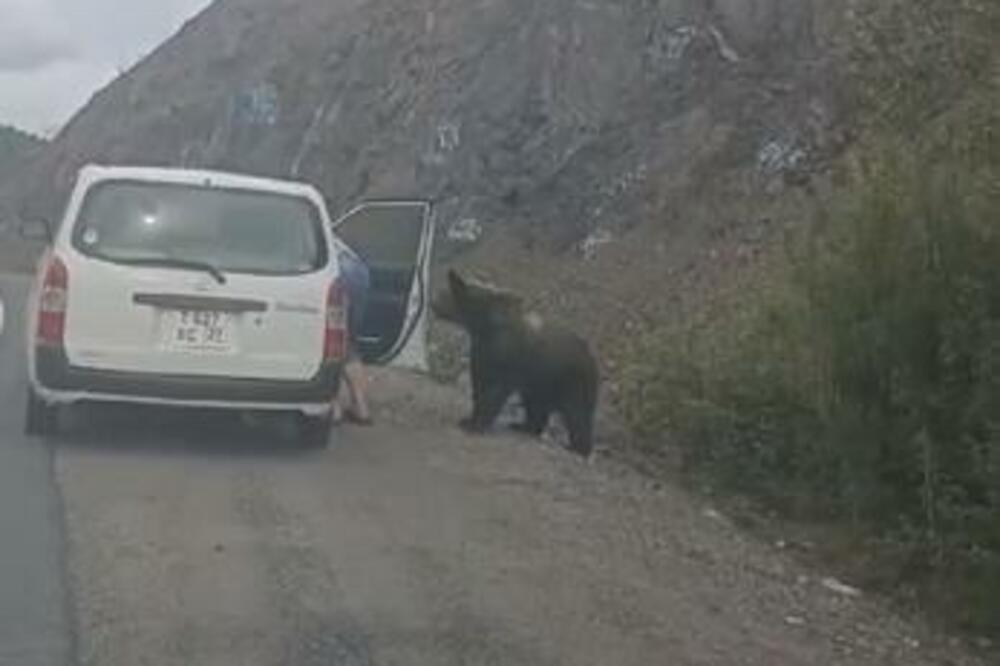 ZAUSTAVIO AUTO NASRED PUTA PA MU SE POJAVIO ON: Zbog njegovog LUDAČKOG POTEZA misle da je SKROZ SIŠAO SA UMA(VIDEO)