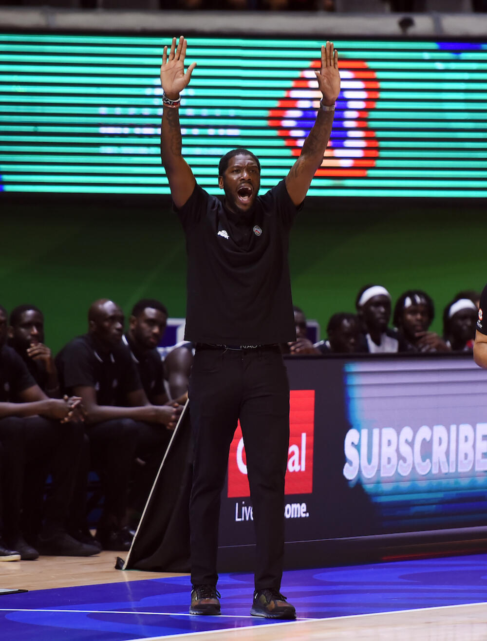 Rojal Ajvi na utakmici Južnog Sudana i Srbije