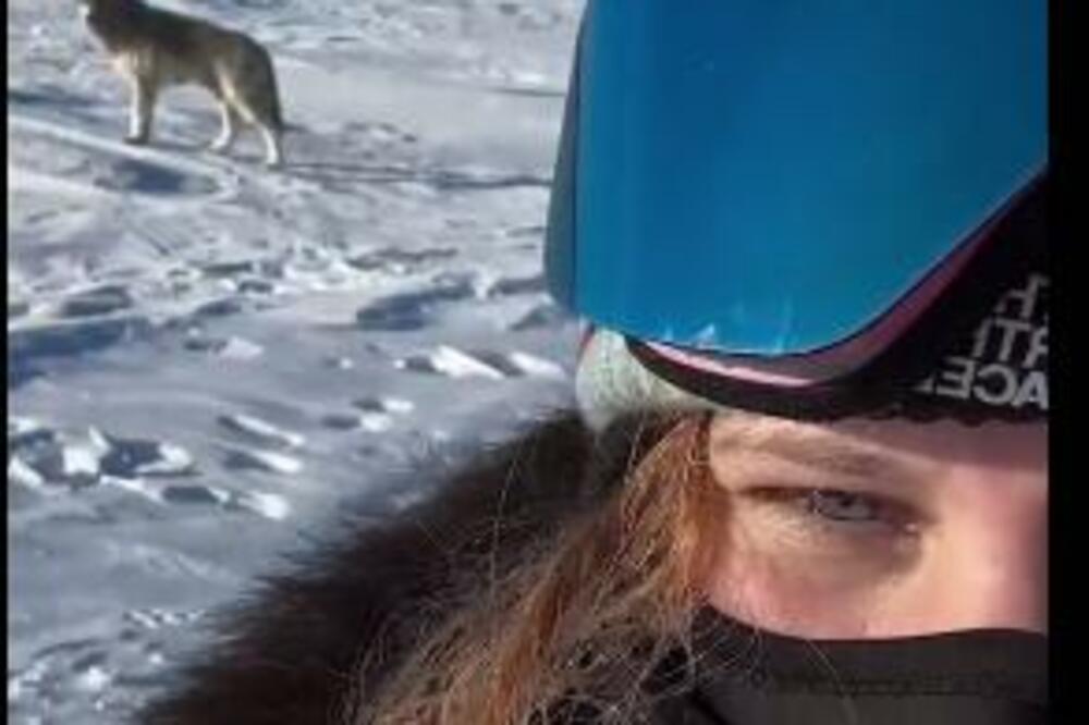 ČOPOR VUKOVA POSMATRAO PA OKRUŽIO DEVOJKU (20): Ono što se zatim dogodilo NIKO NIJE MOGAO DA ZAMISLI, NAJEŽIĆETE SE