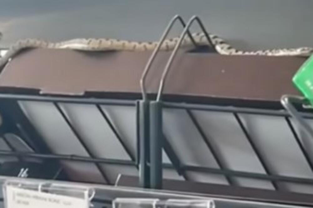 OVO SE RETKO VIĐA! Zmija "PROŠETALA" tržnim centrom u Šibeniku! Mnogima sigurno NIJE BILO SVEJEDNO (VIDEO)