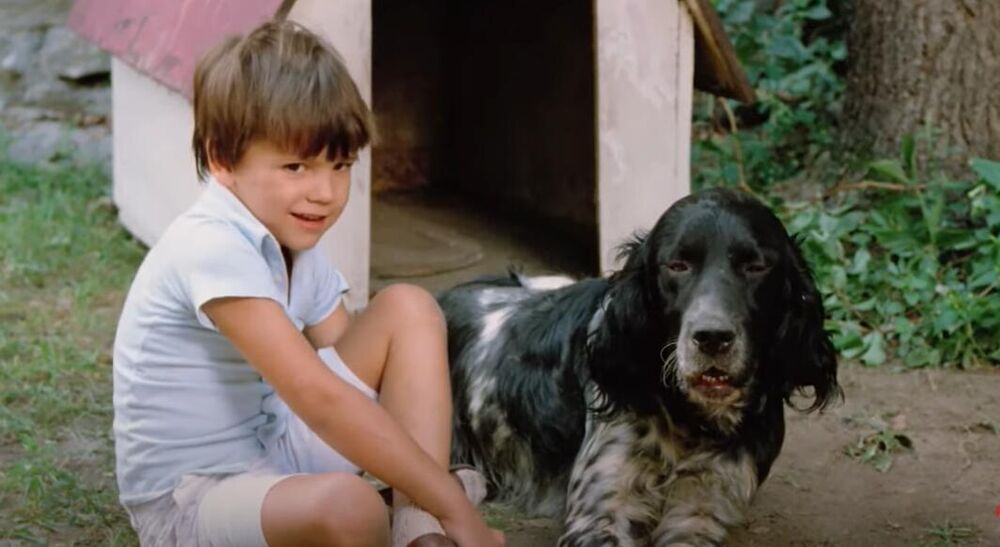 Andrija Mrkaić kao Tadija u filmu 'Varljvio leto '68'