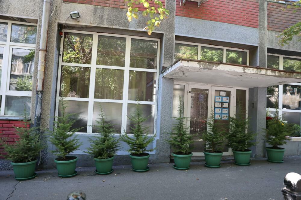 EVO ŠTA ZNAČI 10 STABALA ISPRED ŠKOLE U KOJOJ JE IZVRŠEN MASAKR: Jedan DETALJ svima UPADA u UČI!