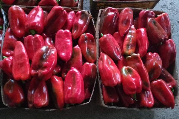 Cene zimnice otišle u nebesa! Paprika za pet godina poskupela 96 odsto, a vrućine uopšte ne pomažu