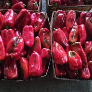 Cene zimnice otišle u nebesa! Paprika za pet godina poskupela 96 odsto, a vrućine uopšte ne pomažu