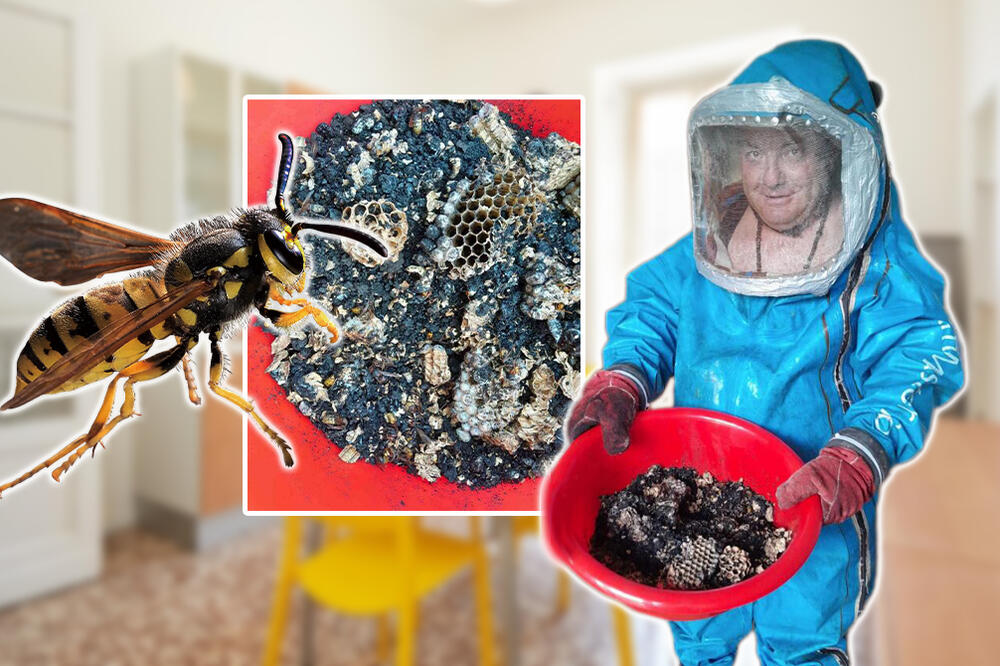 "ČIM VIDE TRAČAK SVETLOSTI KREĆE NAJEZDA U STAN": Vesna MUKU MUČI sa STRŠLJENOVIMA, Stanković objasnio ŠTA ČINITI!