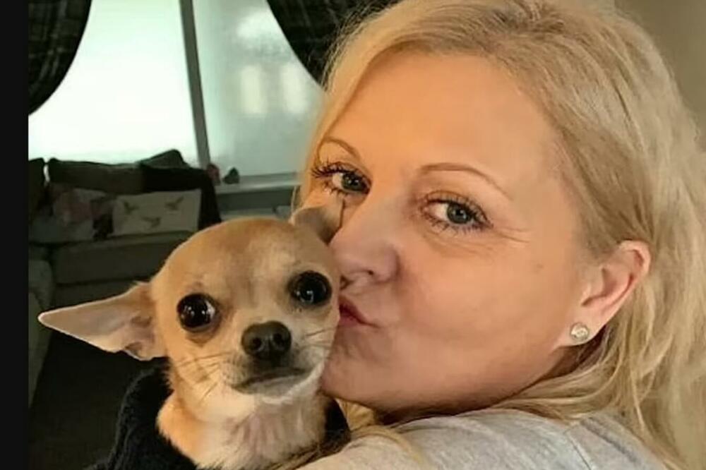 LEKARI ŠOKIRANI PRIMILI ŽENU U BOLNICU: Čivava joj je uradila OVU GROZOTU preko noći DOK JE SPAVALA (FOTO)