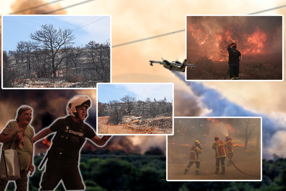 OVAKO IZGLEDA ŠUMA U GRČKOJ POSLE JEZIVIH POŽARA: Otišli smo u Atinu i uverili se u sav UŽAS VATRENE STIHIJE (FOTO)