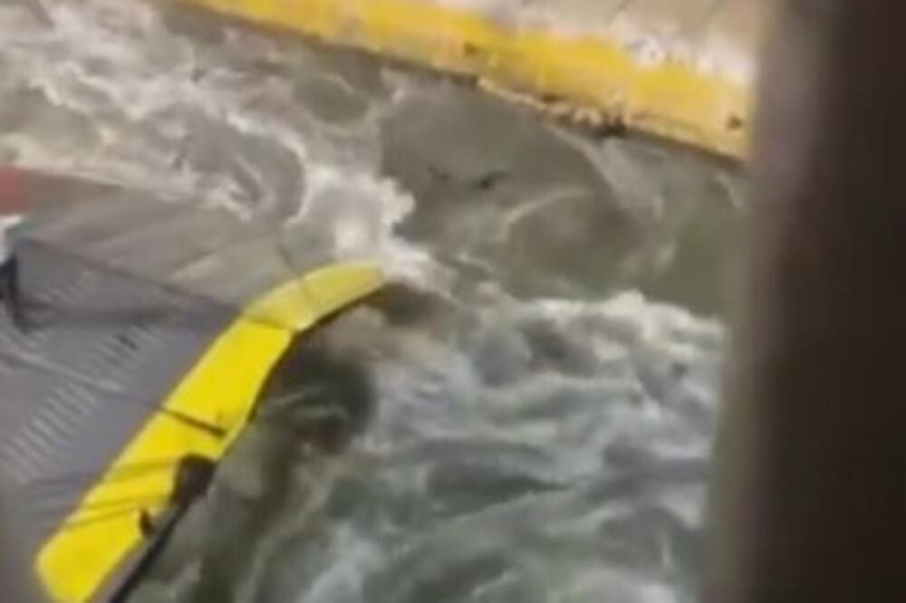 OVO JE MUŠKARAC KOJEG SU GURNULI SA TRAJEKTA, PA POBEGLI: Novi snimak izaziva još veću nevericu, KAKAV UŽAS (VIDEO)