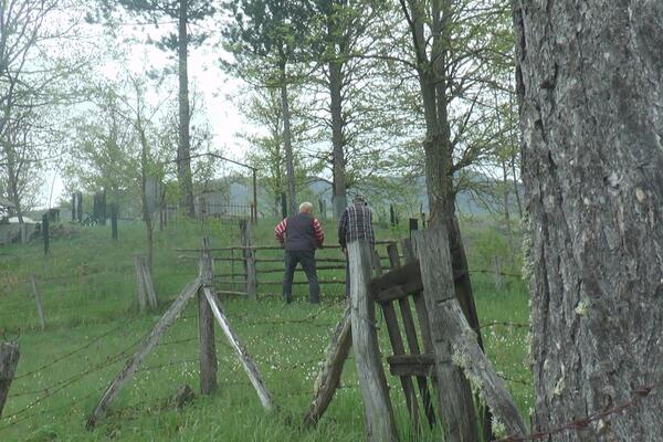 KRVAVI OBRAČUN U SRPSKOM SELU ZBOG MEĐE! Sevali noževi i vile