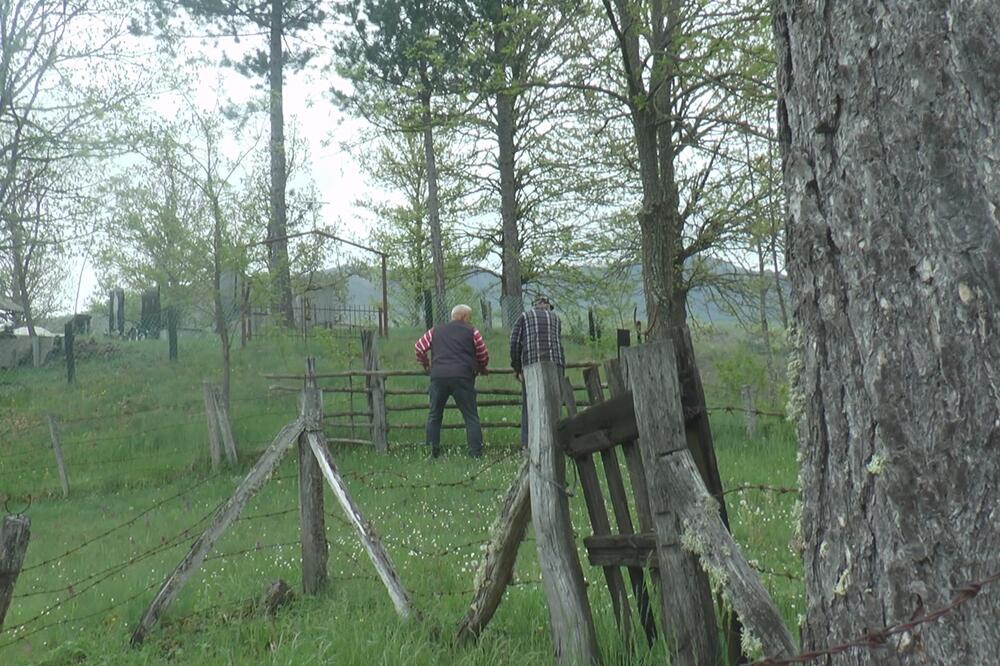 KRVAVI OBRAČUN U SRPSKOM SELU ZBOG MEĐE! Sevali noževi i vile