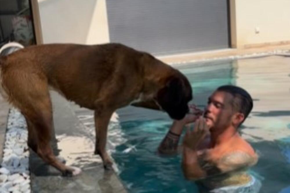 OVAJ SNIMAK ĆE VAM RAZNEŽITI SRCE: Gazda se pretvarao da je mrtav u bazenu, a onda je pas URADIO OVO! (VIDEO)