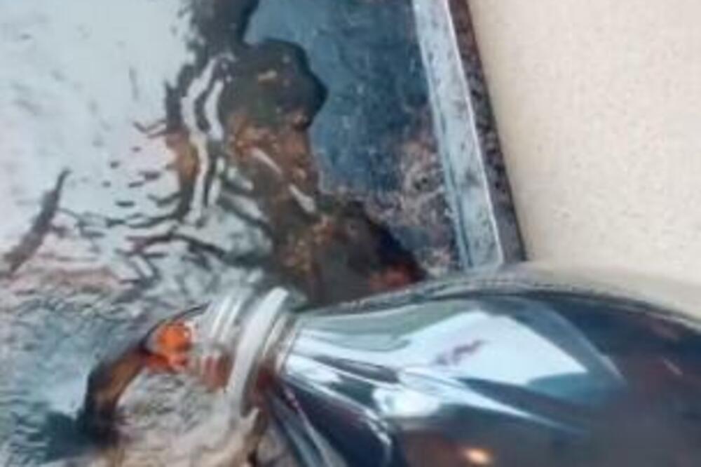 OVAJ NAPITAK ĆE VAM POMOĆI DA UNIŠTITE ZAGORELI DEO NA TIGANJU: Dovoljno je samo da pospete i SAČEKATE (VIDEO)