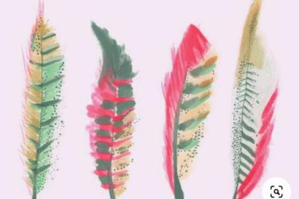 DOBRO POGLEDAJTE I ODABERITE SMO JEDNO OD OVA ČETIRI PERA: Test ličnosti vam otkriva KOJE SU VAŠE PREDNOSTI