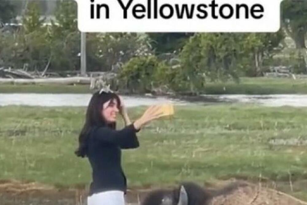 DEVOJKA MRTVA LADNA UŠLA KOD OPASNOG BIZONA U ZOO PARKU: Nije ni slutila ŠTA MOŽE DA SE DESI, sve je izazvalo BURU