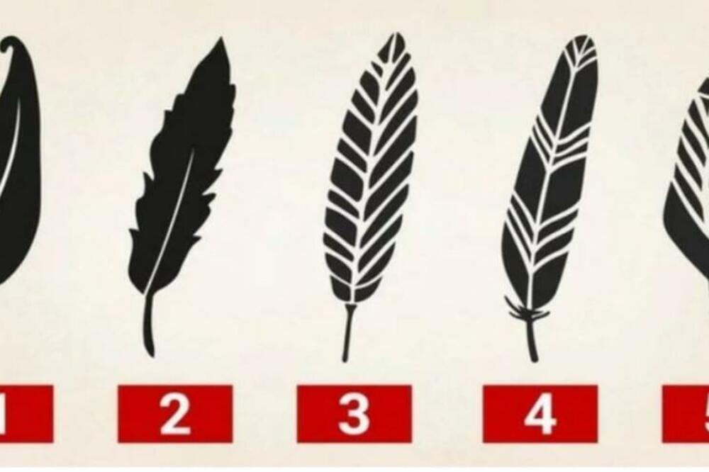 OVAJ TEST OTKRIVA ŠTA JE VAŠ NAJVEĆI DAR OD BOGA: Izaberite JEDNO PERO i spoznajte SVOJU SUŠTINU