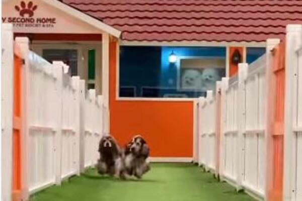 DUBAI IMA NOVO LUKS ODMARALIŠTE VREDNO 10 MILIONA DOLARA: Bazeni, ZONE OPUŠTANJA, ali NE ZA LJUDE (FOTO/VIDEO)