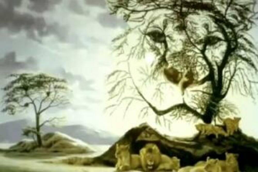 OVO JE OPTIČKA ILUZIJA KOJA GOVORI SVE O VAŠOJ UNUTRAŠNJOJ LIČNOSTI: Ako ste prvo ugledali LAVA vi ste sigurno TO