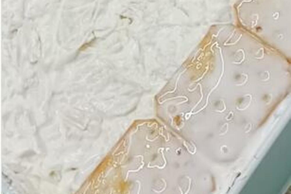 OVA SLANA JE BILA KRALJICA SVIH JUGOSLOVENSKIH PROSLAVA: Ima samo NEKOLIKO SASTOJAKA, a svi u NJOJ uživaju