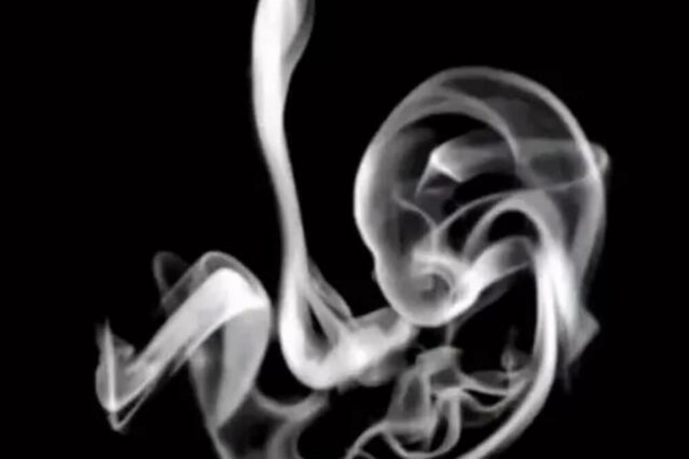 DA LI VIDITE FETUS NA SLICI ILI NEŠTO DRUGO? Ova optička iluzija otkriva nešto NAJDUBLJE U VAMA, uverite se i sami