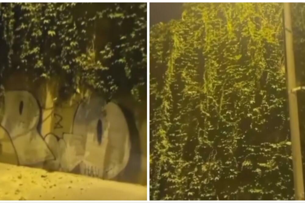 MOGAO JE NEKO OZBILJNO DA NASTRADA: Usred Beograda ODRONILA SE ZGRADA, po podu leže delovi fasade (VIDEO)