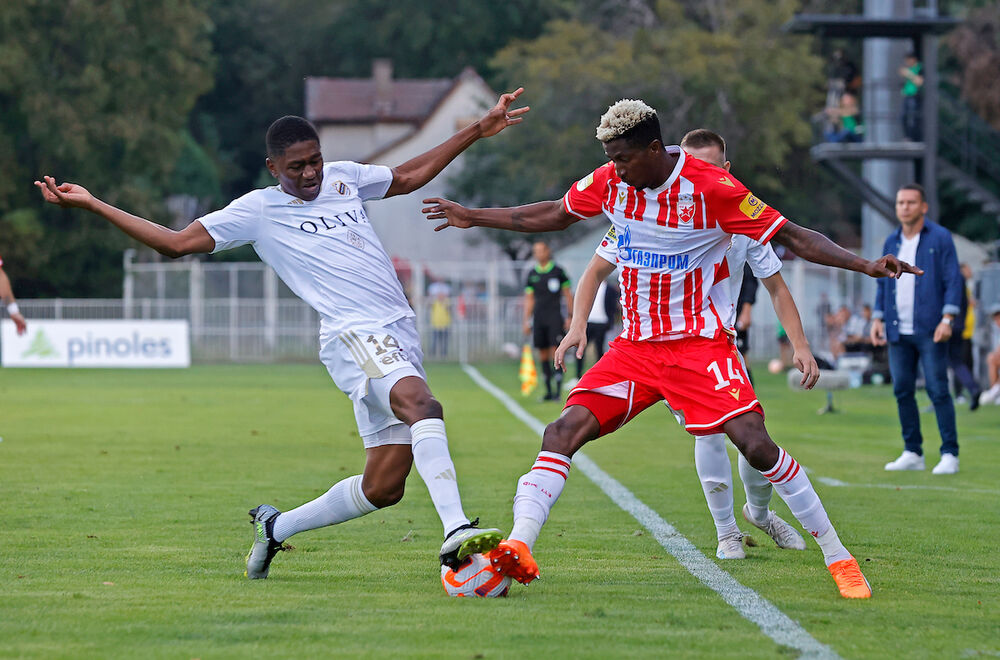 Detalj sa utakmice Čukaričkog i Crvene zvezde u prvom delu sezone