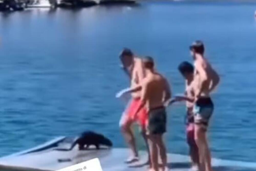 DEČACI BILI NA SPLAVU, A ONDA JE IZ VODE ISPLIVALO OVO STVORENJE: Krenuli su da beže, a ono je išlo PRAVO IZA NJIH