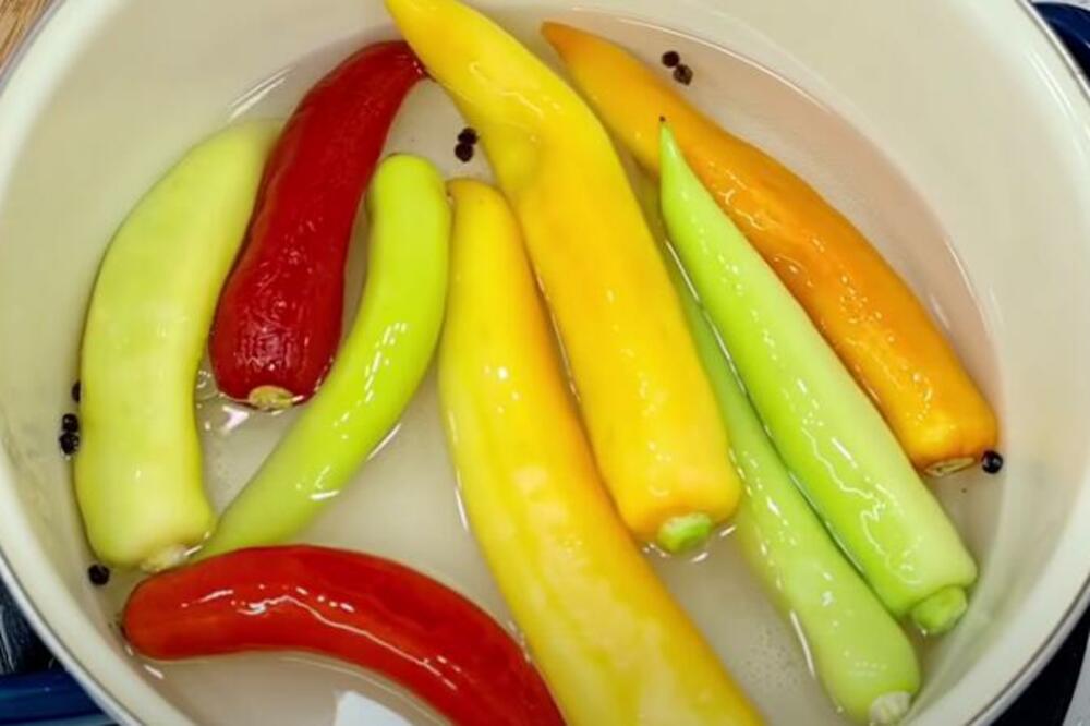 OVO JE ZVANIČNO NAJLJUĆA PAPRIČICA NA SVETU: I sam UZGAJIVAČ se danima nije oporavio od nje