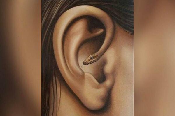 ŠTA PRVO VIDITE NA SLICI RAZGOLIĆUJE VAŠU LIČNOST DO KOSKE: Ovo je NAJPRECIZNIJI TEST LIČNOSTI (FOTO)