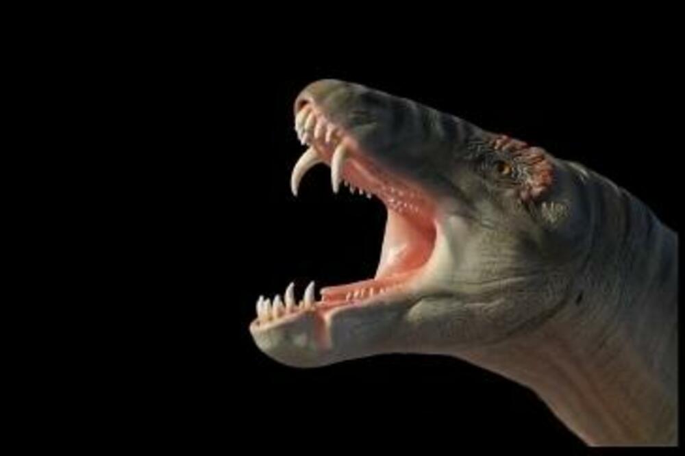 OTKRIVENA NEMAN KOJA JE ŽIVELA PRE DINOSAURUSA: Bio je ogromna ZVER sa zubima spremnim da RASKOMADA plen