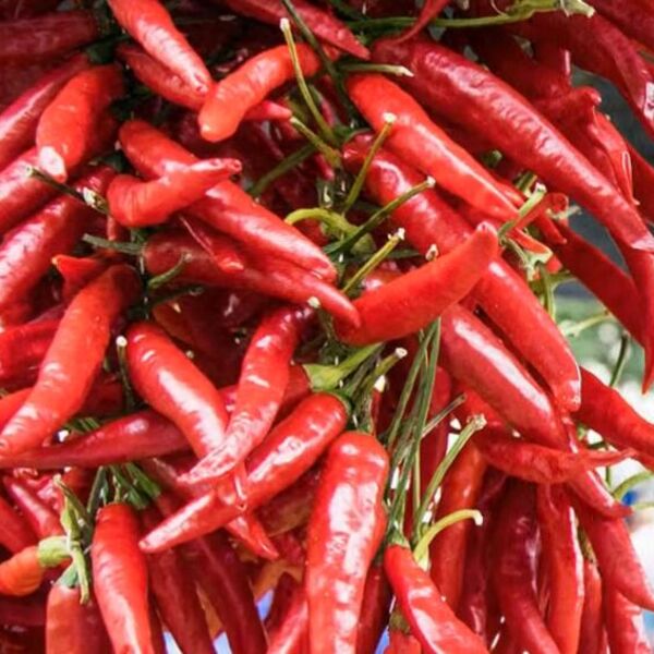 U vašu hranu ste slučajno stavili previše ljute paprike? Evo tajnog trika da spasite preljuto jelo