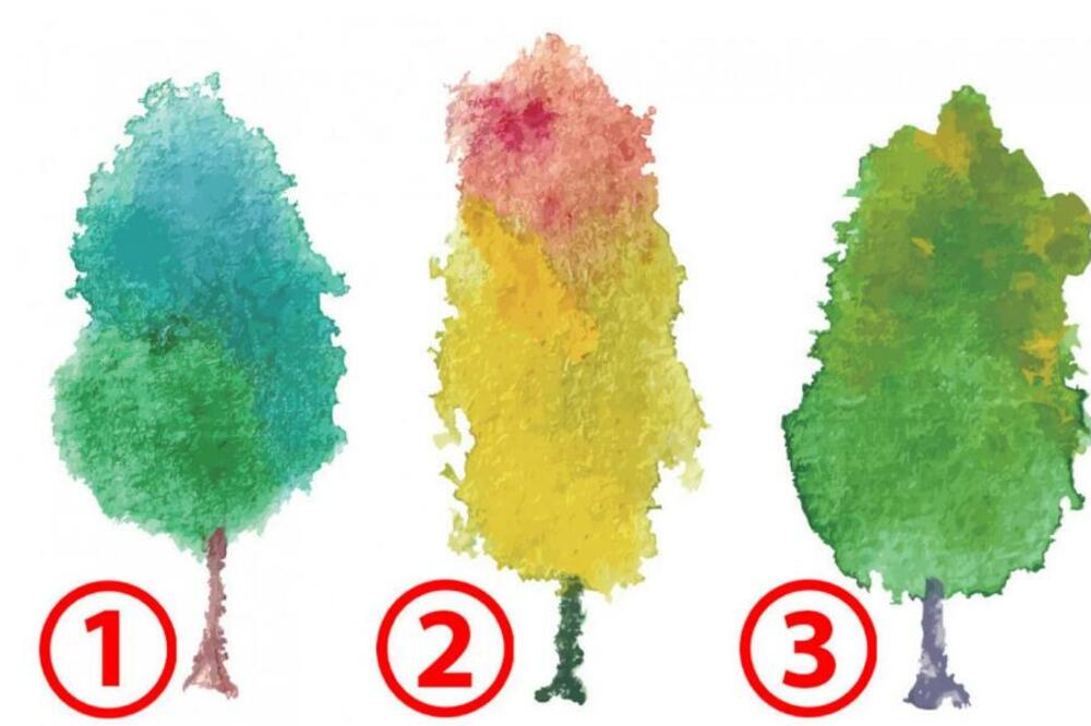 VAŠA PODSVEST OTKRIVA ŠTA VAS ČEKA U NAREDNOM PERIODU: Izaberite DRVO i pročitajte U ČEMU JE VAŠA SREĆA