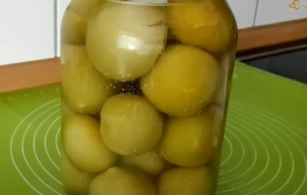 Zeleni paradajz