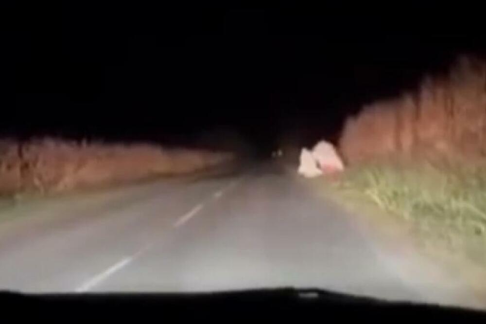 VOZAČ KOD BEŠKE U MRKLOM MRAKU NA PUTU NALETEO NA SABLASAN PRIZOR: Jedva obišao dve "prikaze"! (VIDEO)