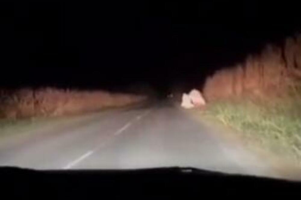 PRIZOR KOD BEŠKE PRESTRAVIO VOZAČA: Usred nići mu ISKOČILE 3 "PRIKAZE": Šta je bre ovo (VIDEO)