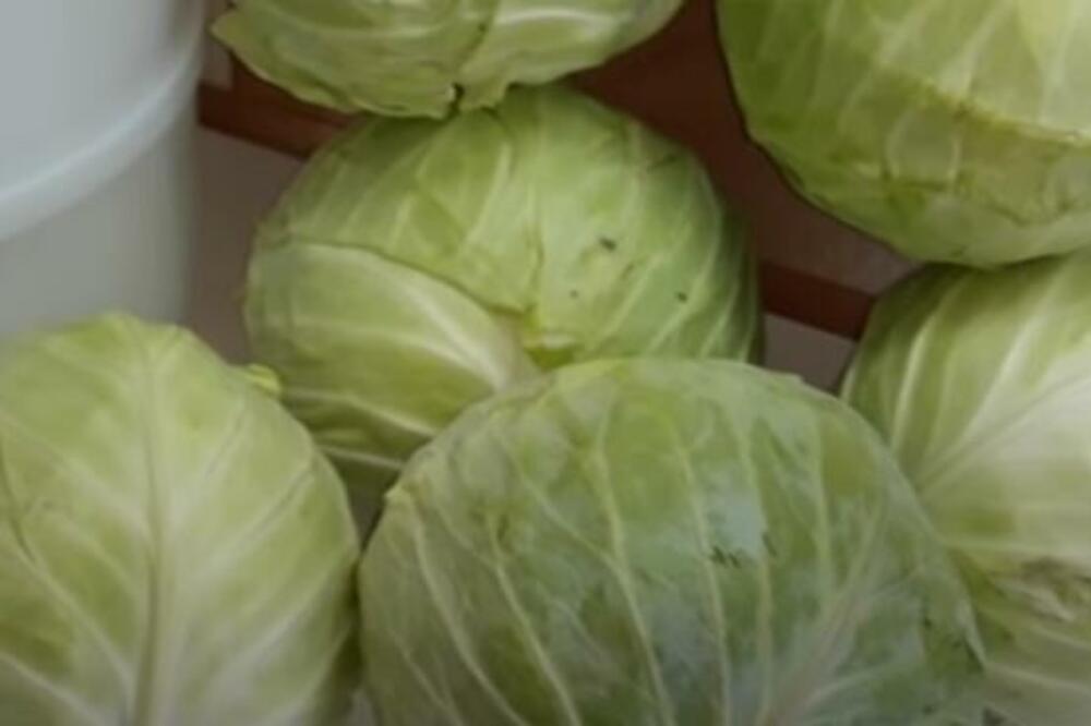 Kada se kiseli kupus? Ovo rade iskusne domaćice da bi rasol uvek bio bistar, a glavice čvrste