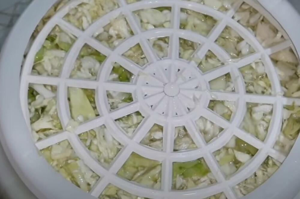 KISELJENJE KUPUSA RIBANCA U LONCU: Najbrži recept - zimnica kakvu samo stari Srbi spremaju svake godine