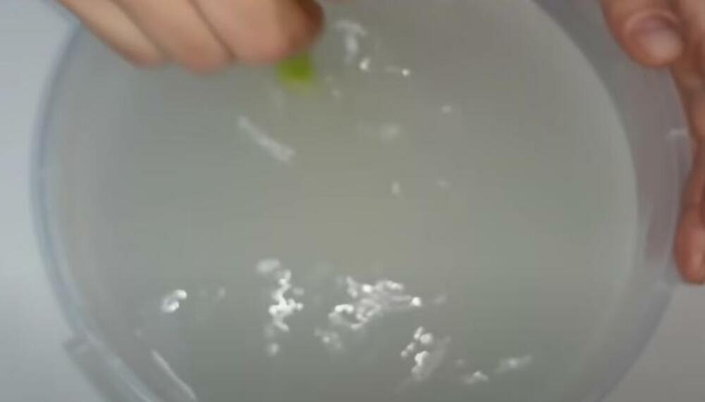 Rasol za kupus ribanac