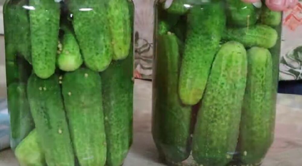 Kiseli krastavci u tegli, Kiseli krastavci