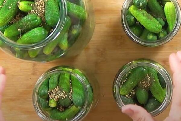 MISTERIJA IZ TEGLE! Srbi jedu krastavčiće uz ručak, a pojma nemaju šta sve rade telu - OBRATITE PAŽNJU NA OVO