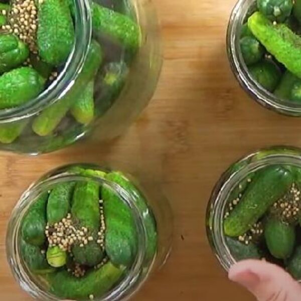 MISTERIJA IZ TEGLE! Srbi jedu krastavčiće uz ručak, a pojma nemaju šta sve rade telu - OBRATITE PAŽNJU NA OVO