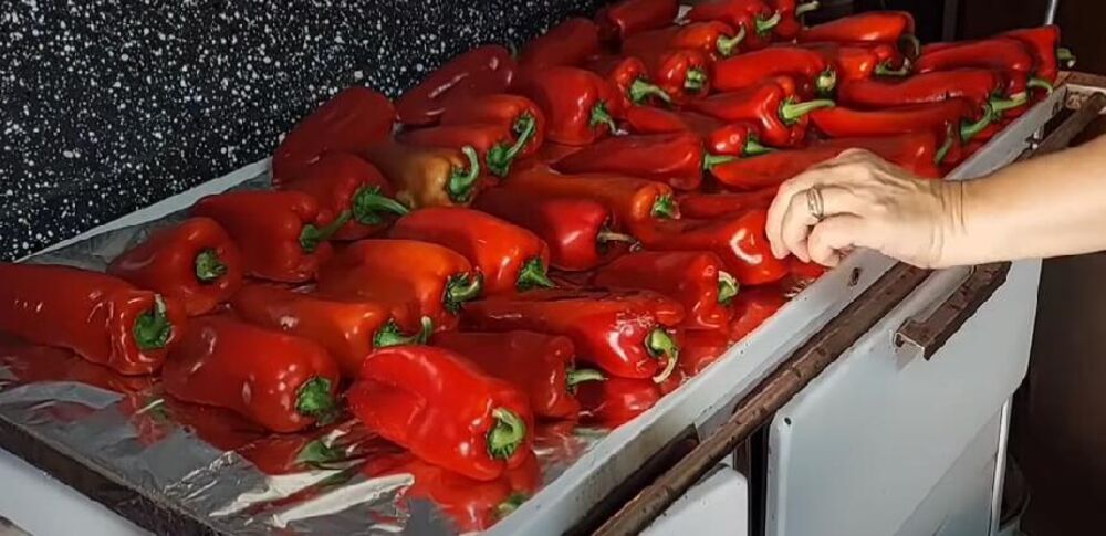 Svaki kraj Srbije ima svoje kulinarsko nasleđe, a kada pomislimo na jug, osim pljeskavica