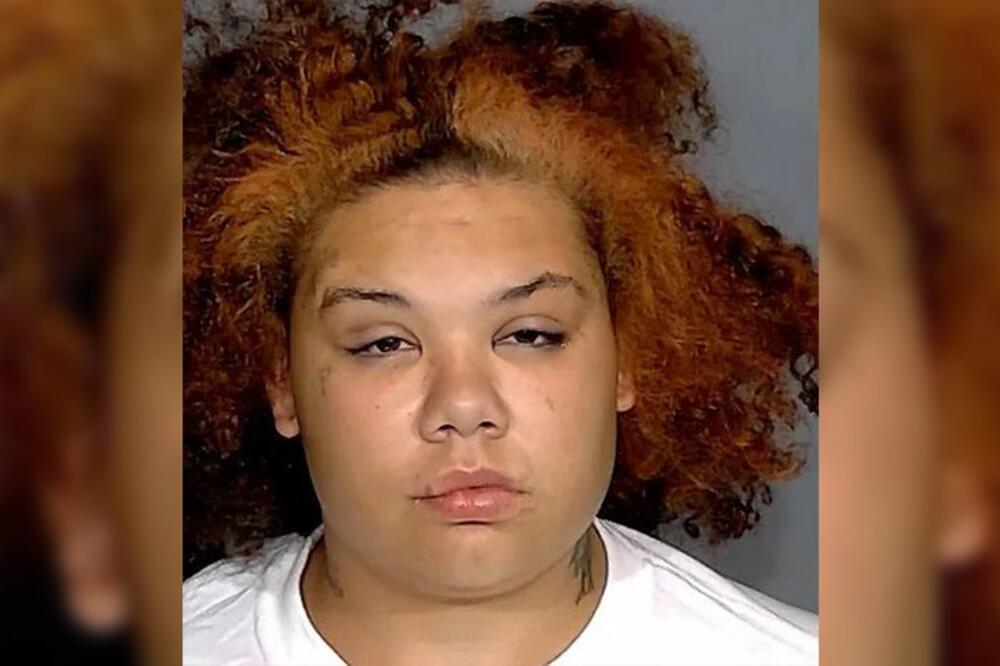 PAS JOJ UKRAO SENDVIČ, ONA POKUŠALA DA GA IZBODE NOŽEM? Ono što je usledilo ledi KRV U ŽILAMA