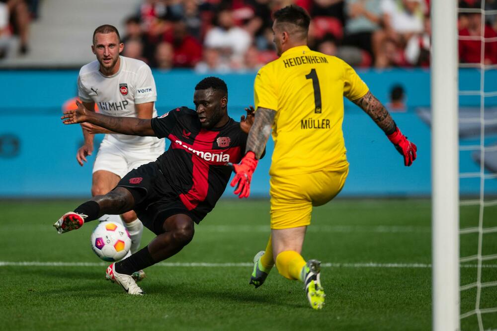 FK Bajer Leverkuzen, FK Hajdenhajm